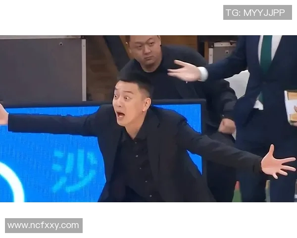 辽宁对战杨鸣精彩比赛完整视频回顾与分析分享